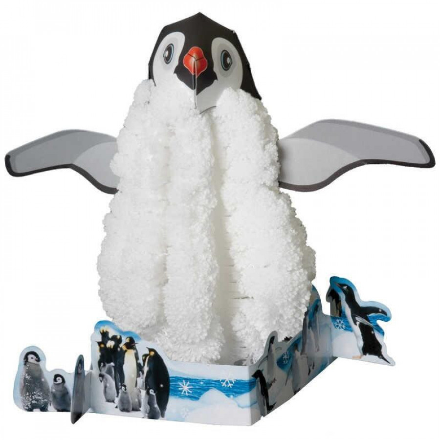 Set experimente - Pinguin 0