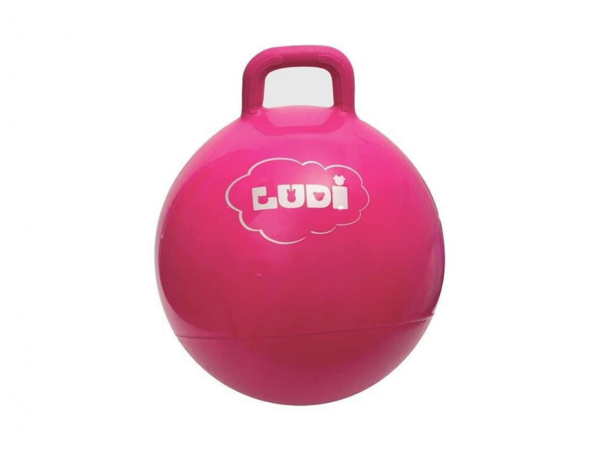 LUDI Minge saltareata Roz 45 cm 0