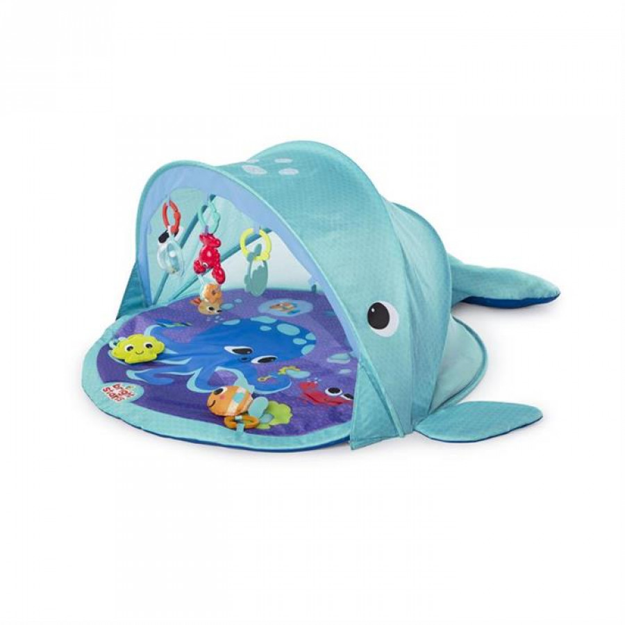 Bright Starts - Salteluta de activitati Explore & Go Whale 2