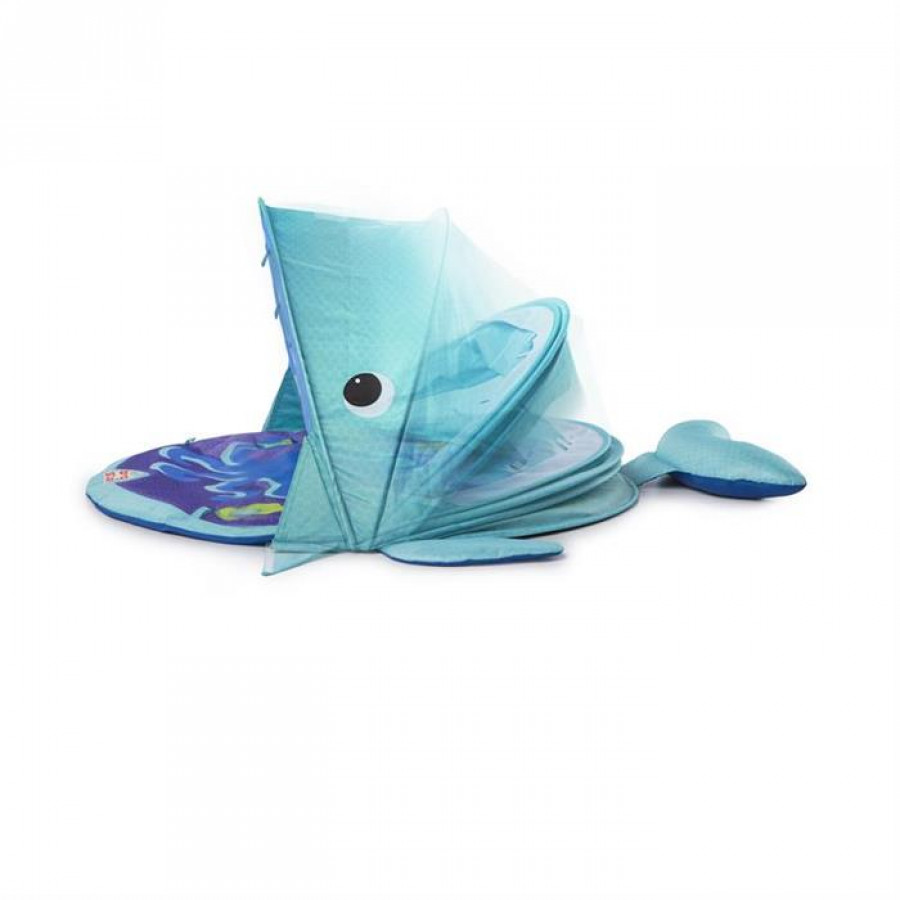 Bright Starts - Salteluta de activitati Explore & Go Whale 3