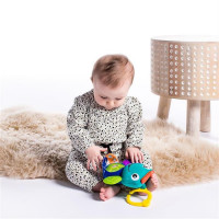 Baby Einstein - Jucarie muzicala de plus Broscuta Neptune 2