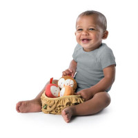 Bright Starts - Set 3 jucarioare de plus Baby Bird Put & Take 2