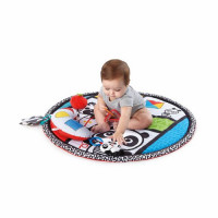 Baby Einstein - Salteluta de activitati Bold New World 3