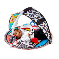 Baby Einstein - Salteluta de activitati Bold New World 4