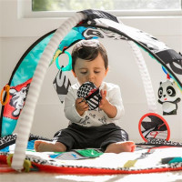 Baby Einstein - Salteluta de activitati Bold New World 5
