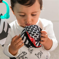 Baby Einstein - Salteluta de activitati Bold New World 9