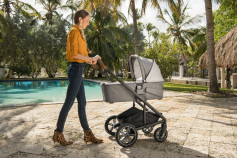 Nuna - Carucior 2 in 1 Mixx Next Birch 7